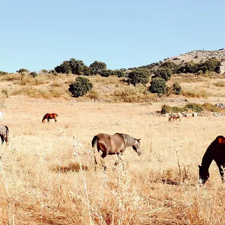 Pilares De Boutique & Szálloda 4*